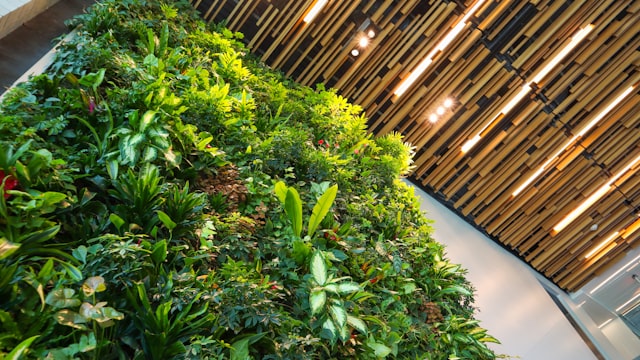 Los Mejores Jardines Verticales para Interior y Balcón [2026]